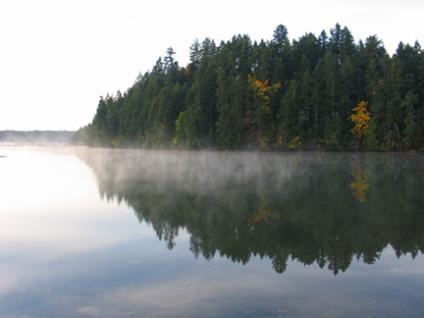 Fall mist in Telegraph Harbour