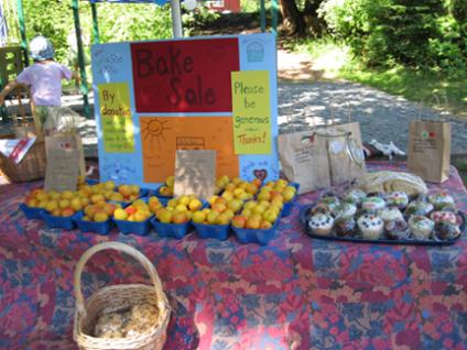 School bake sale at Thetis Island Day 2010